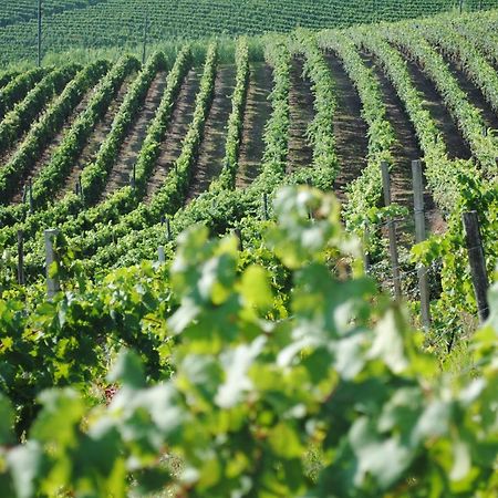 Cascina Dani Villa Agliano Terme Eksteriør billede