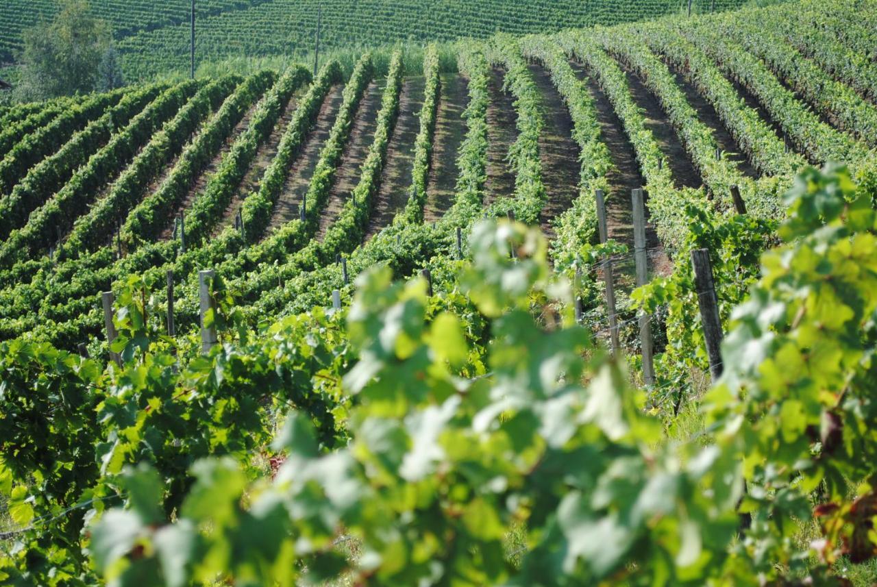Cascina Dani Villa Agliano Terme Eksteriør billede